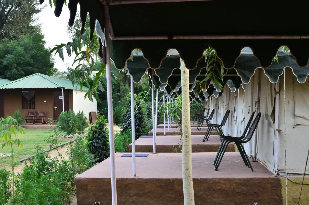 The Narayan Resort Farm Stay Pushkar Eksteriør billede