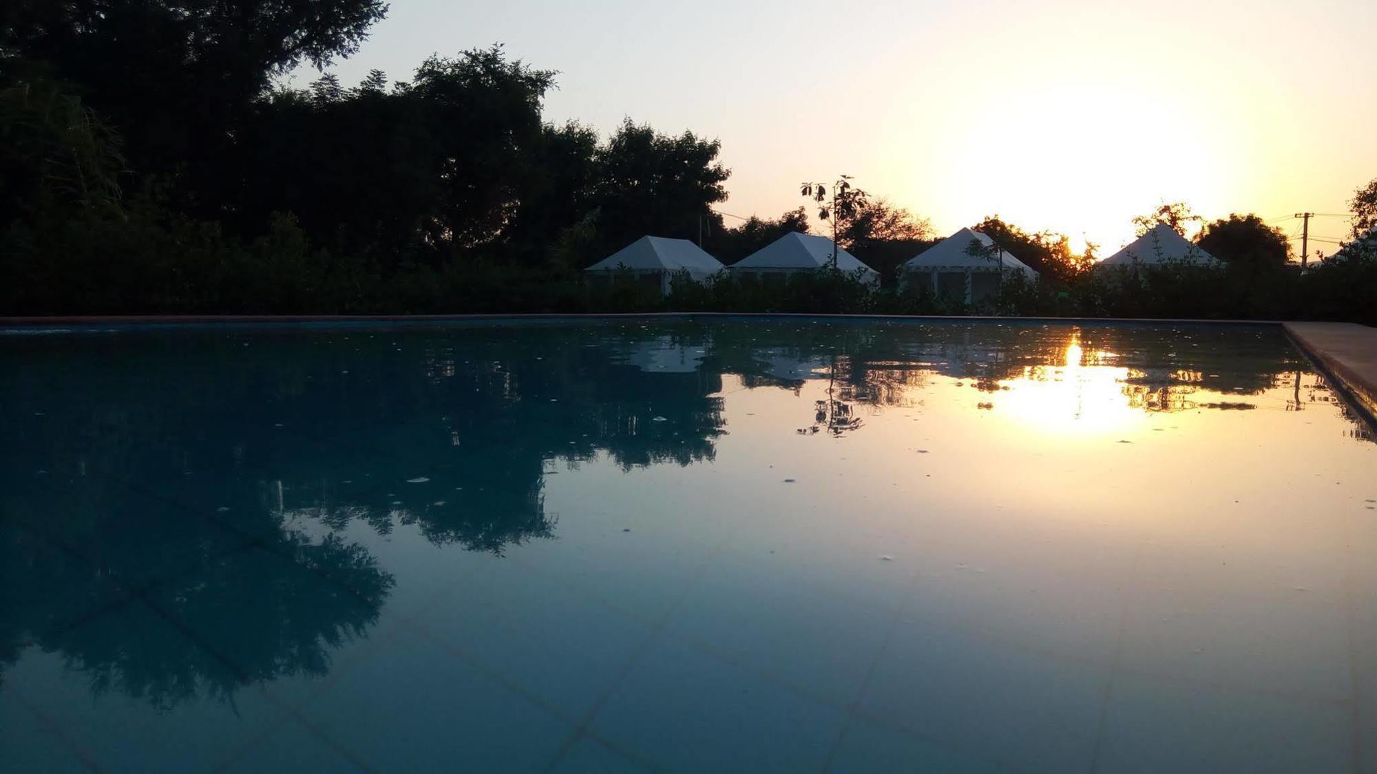 The Narayan Resort Farm Stay Pushkar Eksteriør billede